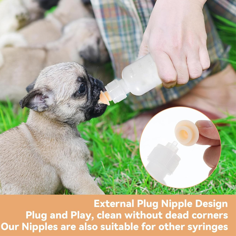 Newborn Pet Nursing Bottle Fee - đánh giá và giá Zwitsal Baby Products